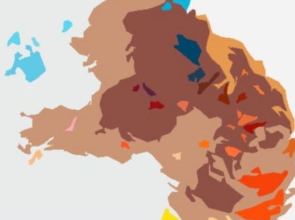 Ce vezi în această imagine? Răspunsul îți spune cât de matur ești