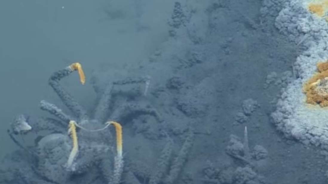 Au descoperit un lac sub ocean. "Cine ajunge acolo nu mai iese viu"