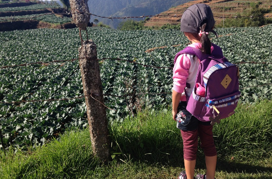 S-a sinucis la 12 ani, îngrozind familia. Au incinerat-o și..au găsit biletul. Șoc: era prea târziu 