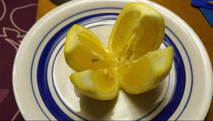 A pus câteva feliuţe de lămâie lângă ea pe timpul nopţii. Ce a constatat?