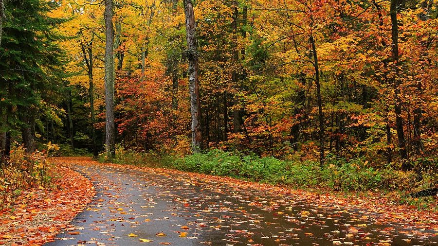 Vremea se răcește în toată țara. Urmează ploi și chiar zăpadă