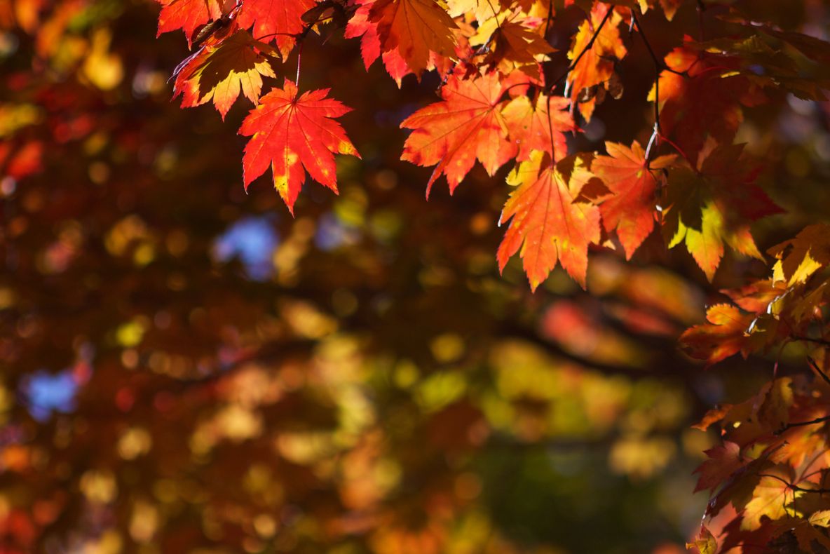 Vremea, deosebit de rece. Ce temperaturi vor fi în următoarele trei zile 