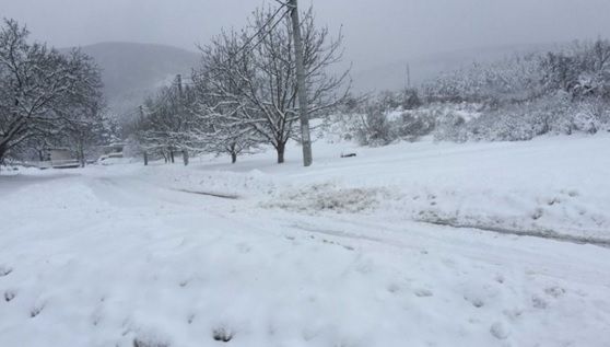 Zăpadă de peste 10 cm în România! Temperaturile, sub zero grade