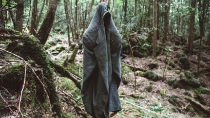 Cea mai terifiantă pădure din lume ascunde un SECRET ORIBIL! Autorităţile nu mai fac faţă! Copacii..