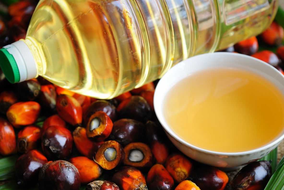 Adevărul despre ULEIUL DE PALMIER! Ce este, de fapt! Mai consumi?
