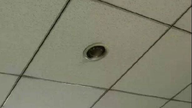 Angajații se simțeau urmăriți în birou. Când au privit spre tavan, stupoare. Au râs în hohote