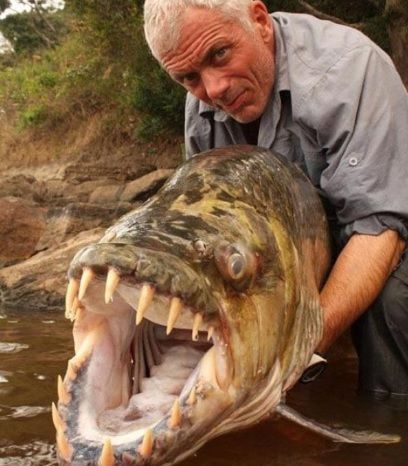 A plecat singur la pescuit. HORROR! A prins un monstru. E peştele care mănâncă şi crocodili