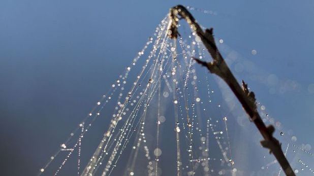 ''Părul de înger'', fenomenul neobişnuit care ar putea avea cauze extraterestre