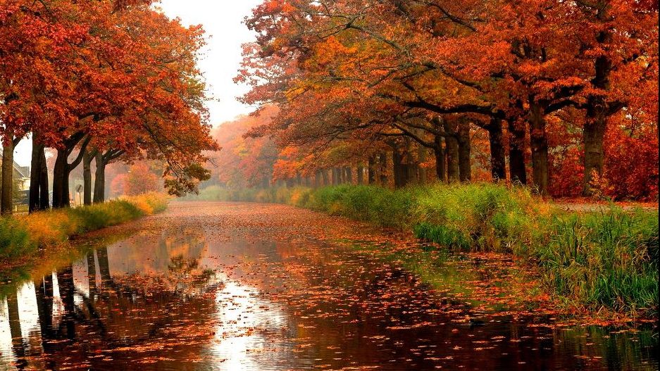 Se întorc ploile. Prognoza meteo până joi 