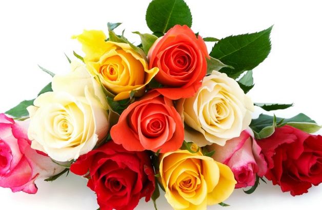 TRUCUL simplu prin care trandafirii rezistă până la o săptămână în vază