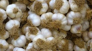 Cum deosebeşti usturoiul din China de cel autohton