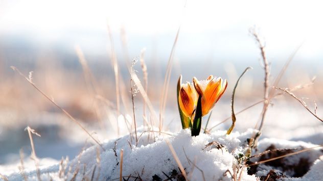 Veşti bune de la meteorologi. Cum va fi vremea în februarie și în următoarele 2 luni