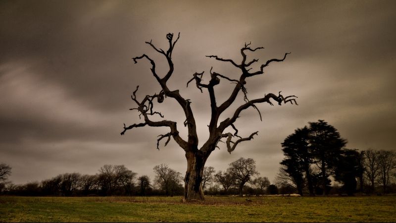 Ce înseamnă când visezi o persoană care a murit