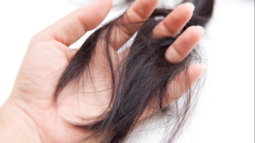 Ai această plantă în casă? Poți opri căderea părului cu ea. Ce trebuie să faci