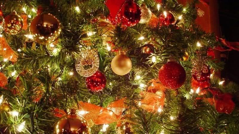 Când se împodobeşte bradul de Crăciun