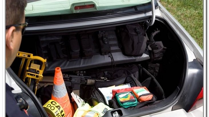 Crima odioasă a unor părinți. Ce au descoperit polițiștii în portbagajul mașinii