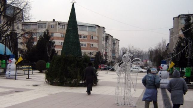 Primăria din Caracal a cumpărat un brad de 12 metri din Italia, pe care l-au replantat. Cât a costat