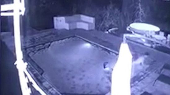 Aveau un moment pasional în piscină, când lângă ei a apărut un CROCODIL! Ce a făcut bărbatul, ŞOC!