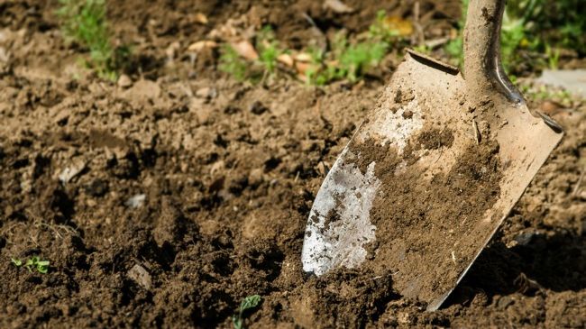 Mister în cazul gropii comune descoperite la câţiva kilometri de Iaşi. Teoria care ar face lumină