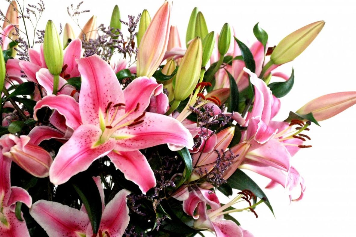 Pune florile din casă în frigider în timpul nopții. Când le vei scoate, vei fi uimit