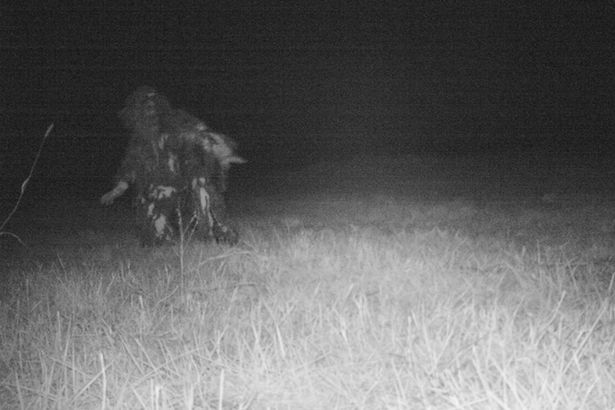 Poliția a montat camere de luat vederi într-un parc din oraș. Ce se întâmplă noaptea acolo e șocant