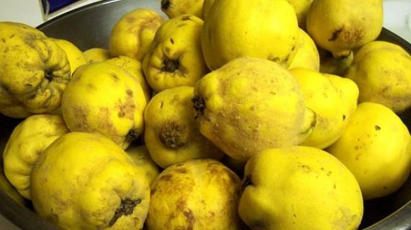 Ce trebuie să faci dacă te-ai înecat cu o bucată de gutuie