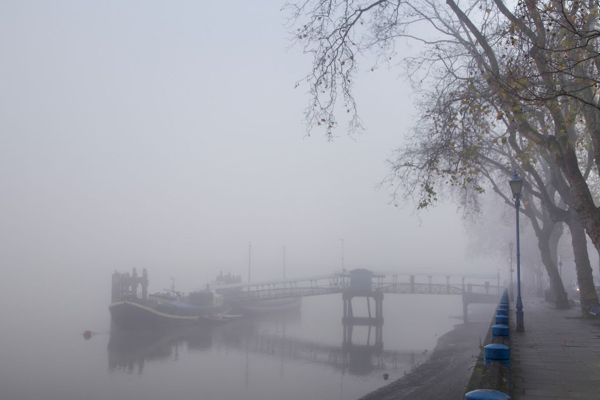 Dimineața, pe acest pod apare o creatură ciudată. Când și-au dat seama ce e, oamenii au râs