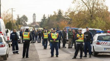 Ungaria: Arme confiscate și arestări în rândul unei grupări neonaziste