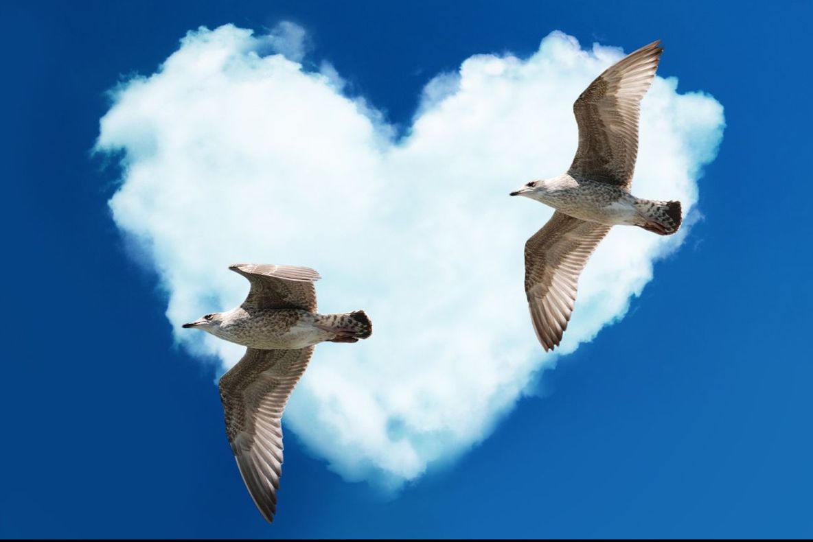 Horoscopul dragostei în luna decembrie 2016