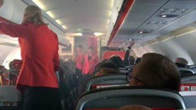 PANICĂ în avion. Toți pasagerii au sărit ca arși când au văzut ce animal uriaș se târa lângă ei