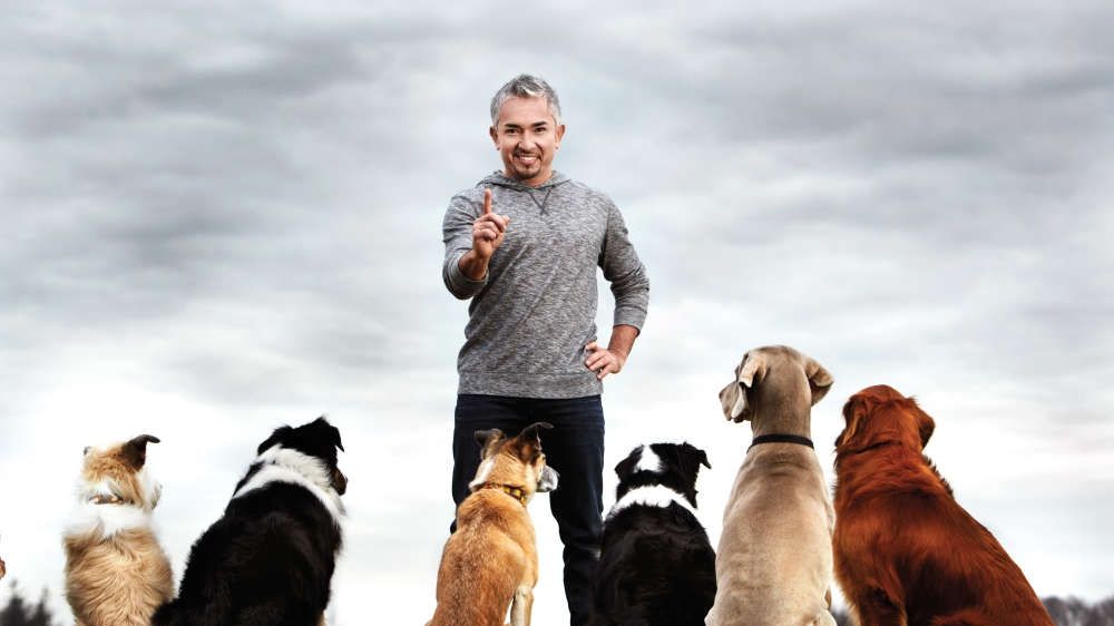 Vestitul antrenor de câini Cesar Millan, show la București pe 21 martie 2017
