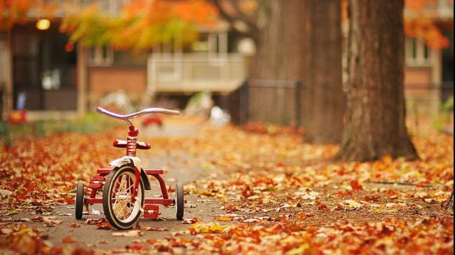 PROGNOZA METEO pentru weekend