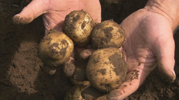 Tatăl a coborât în pivniță. Nu s-a mai întors. Apoi mama, fratele, bunica. Cumplit: ce s-a întâmplat