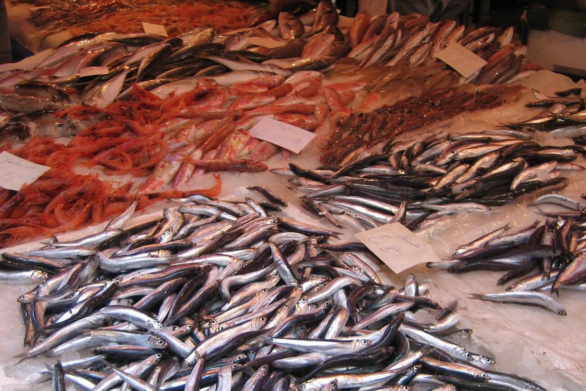 Deşi ne ferim de el, acest tip de peşte este extrem de sănătos. De abia acum s-a înţeles motivul