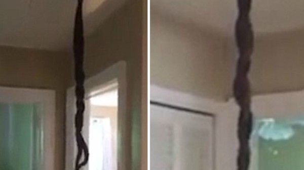 A ajuns acasă și a deschis ușa. A încremenit ce a văzut pe tavan 