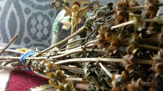 ADEVĂRUL despre busuiocul de Bobotează. Avertismentul preoţilor: renunţă la ACEST OBICEI! 