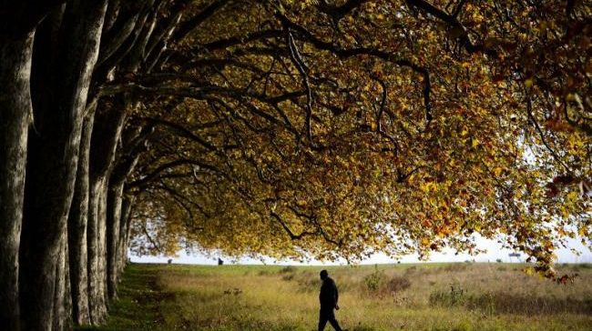 PROGNOZA METEO pentru joi şi vineri 