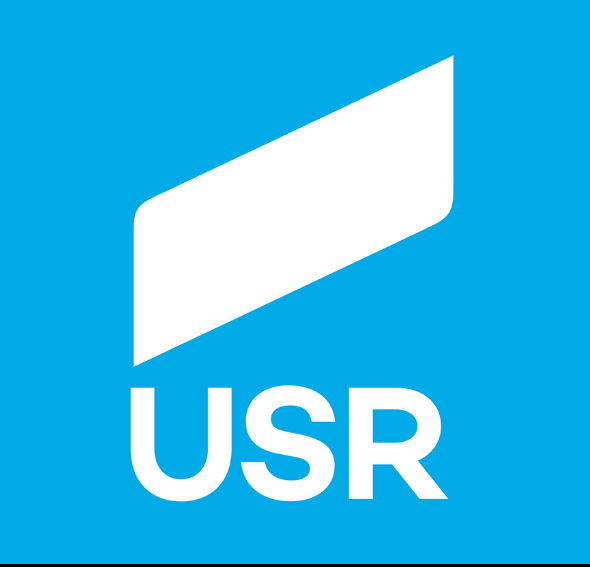 REZULTATE ALEGERI DIASPORA: USR a primit cele mai multe voturi. PSD, doar 10%