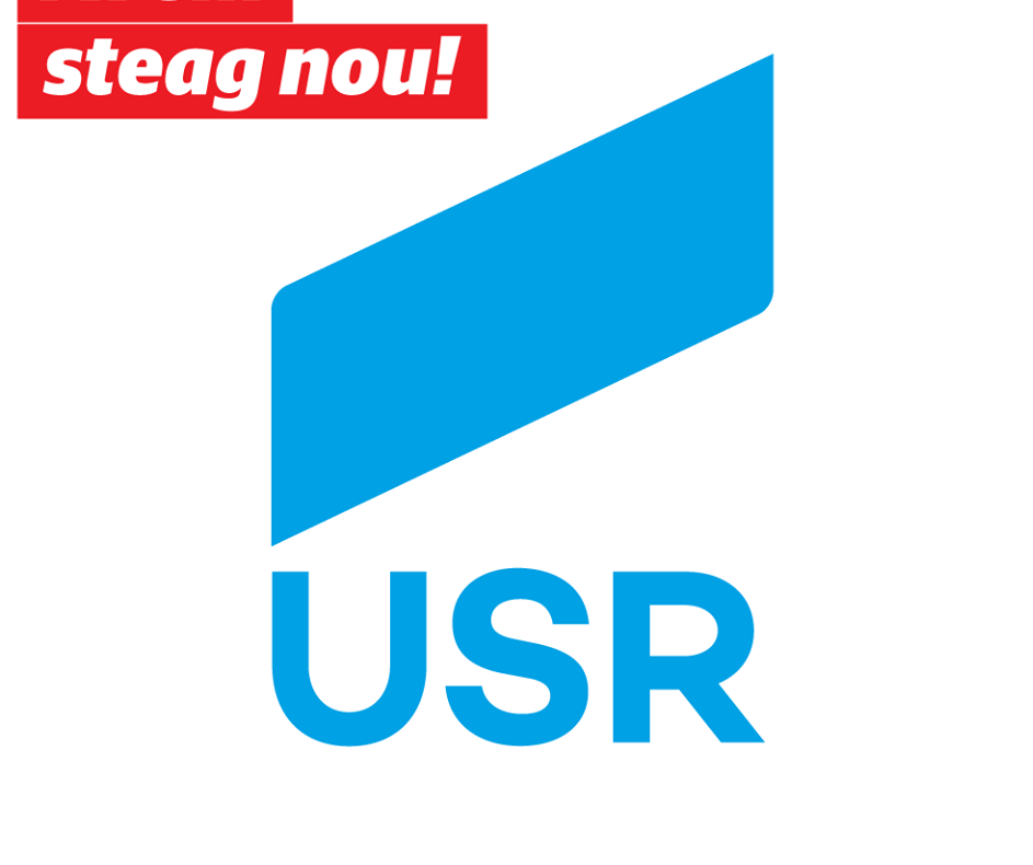 BEC a aprobat însemnele electorale a 11 partide