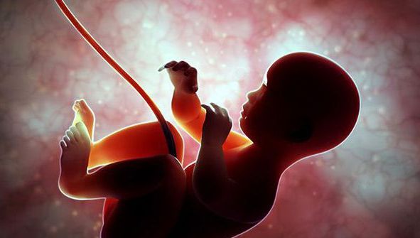 Nouă luni de sarcină, în patru minute! Cum arată minunea vieţii!