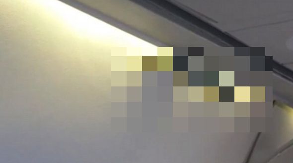 S-a aşezat pe scaunul din avion şi a auzit un zgomot! Când a ridicat capul a încremenit 