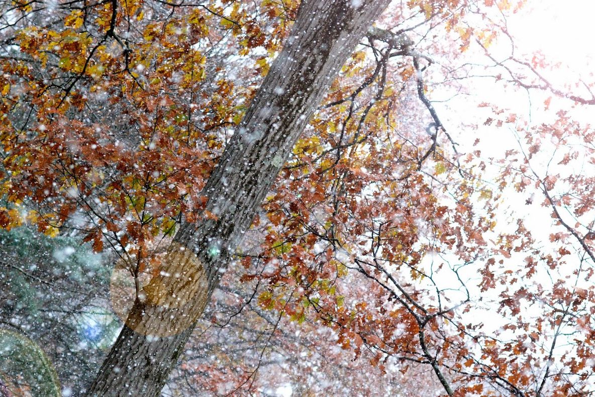 Vremea până la sfârșitul săptămânii. Unde va ninge 