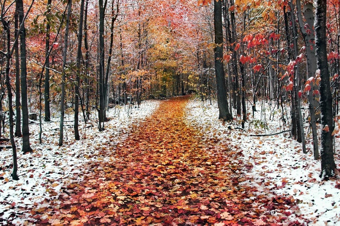 Vremea se schimbă brusc. Prognoza meteo pe două săptămâni