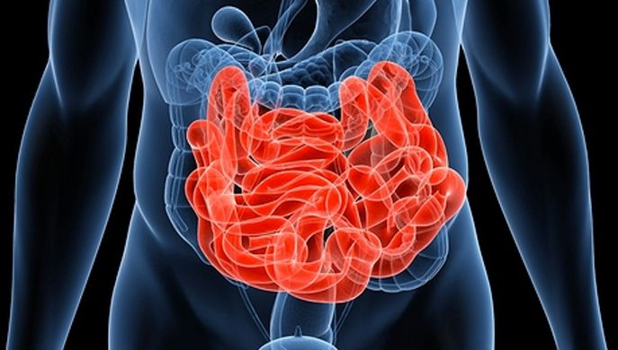 Mănâncă ASTA la cină trei zile! Curăță complet colonul și ajută la slăbit