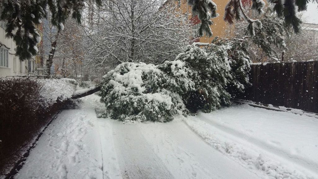Strat de zăpadă de 72 de cm în România. FOTOGRAFII din infernul alb