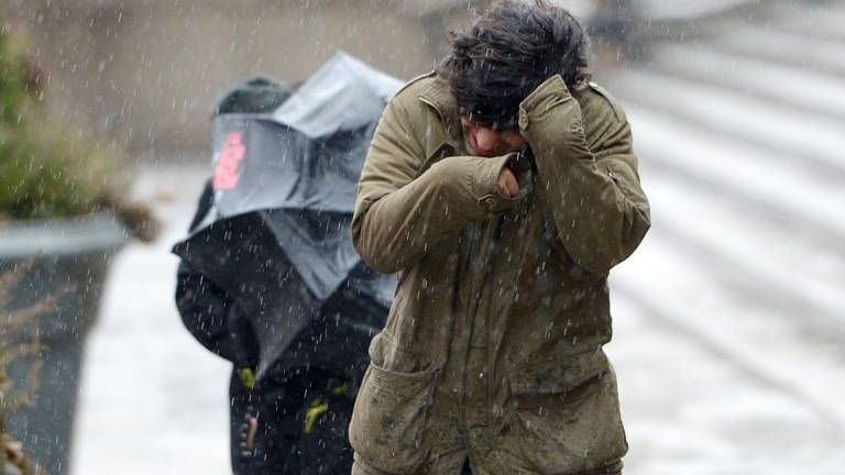 COD GALBEN de vânt puternic