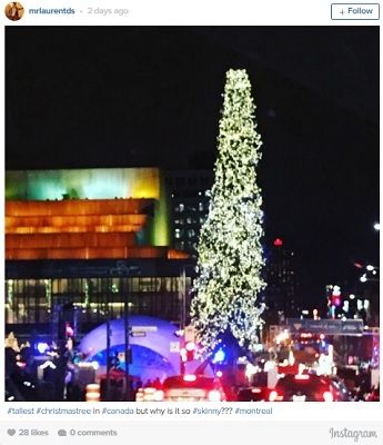 Bradul de Crăciun de care râde toată lumea - culmea, au vrut să bată un record!