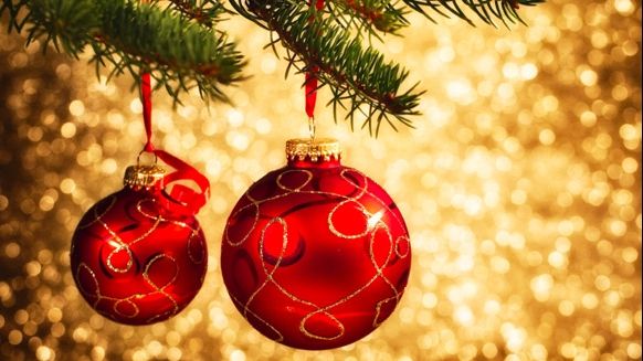 A comandat un brad de pe internet. În colet a găsit ceva halucinant. "Și tu poți păți asta"