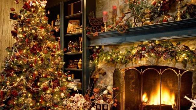 Brazii de Crăciun au fost puşi la vânzare în Capitală. Cât costă cel mai ieftin?