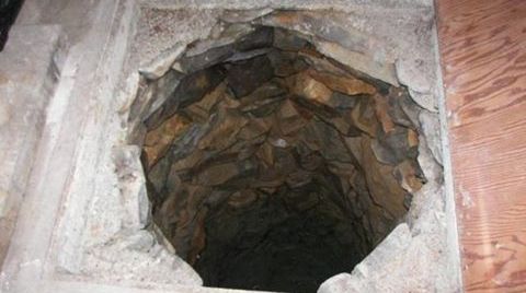 Cumpărase o casă ieftină, dar a descoperit o gaură adâncă în pardoseală. E şocant ce a găsit acolo